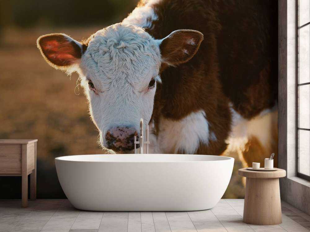 Porträt einer Wade