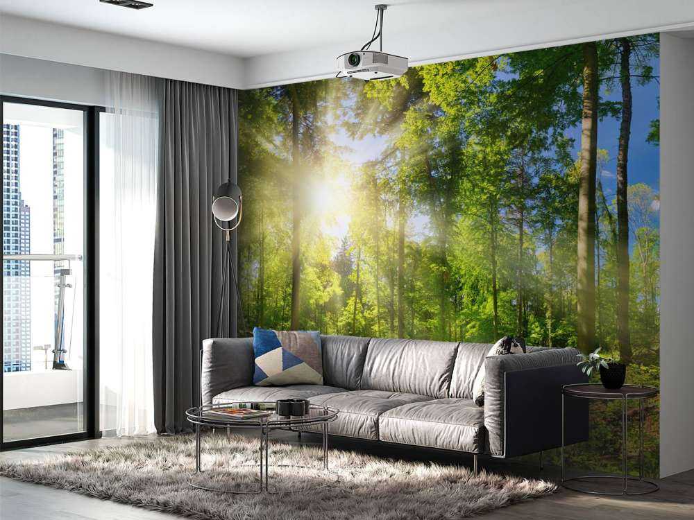 Wald mit Sonnenstrahlen