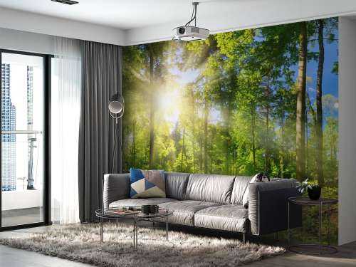 Wald mit Sonnenstrahlen