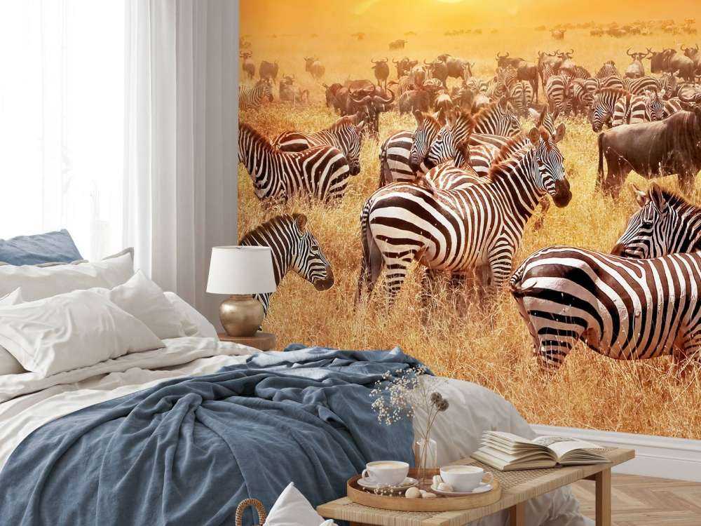 Savannensonne mit Zebras