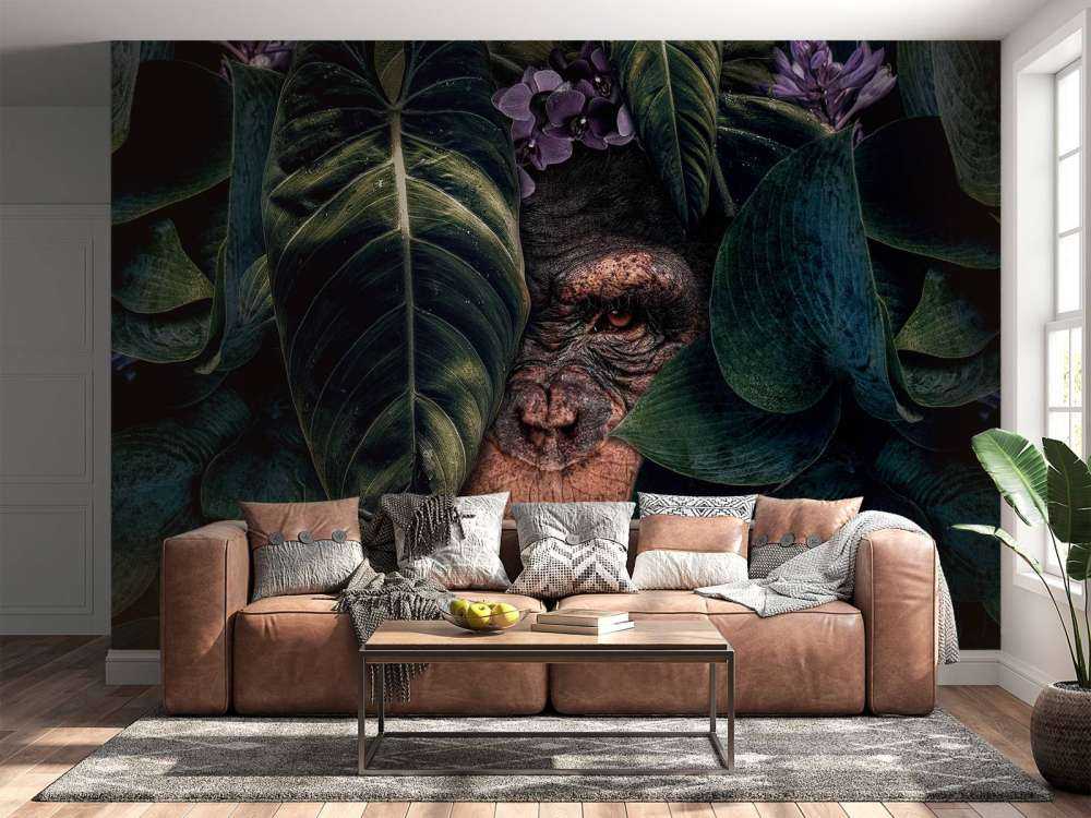 Jungle Chimpanzee