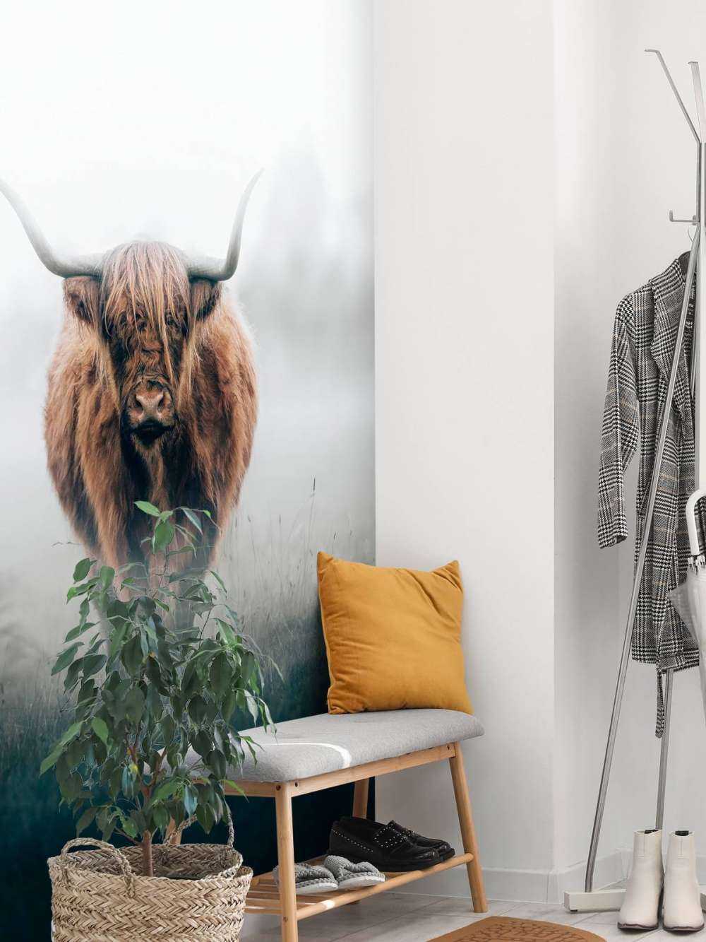 Schottischer Hochländer im dichten Nebel