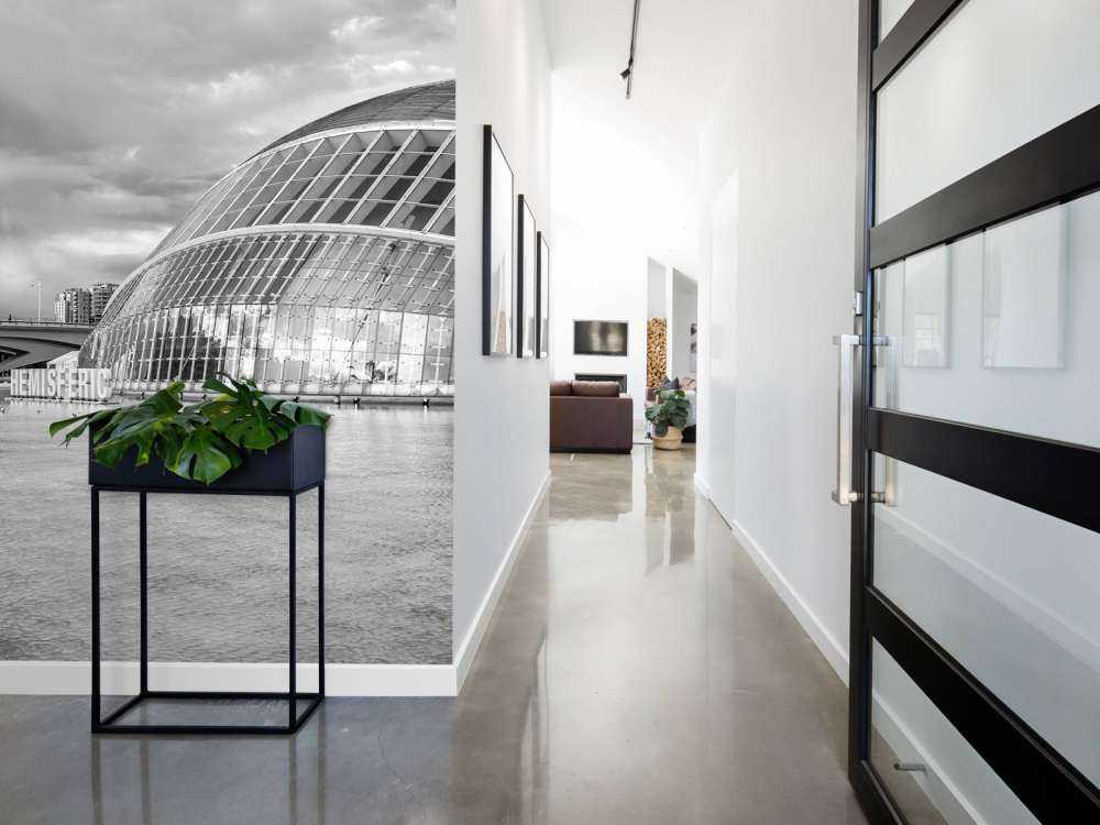 Opernhaus - Palau de les arts Reina Sofia & Hemisfèric - Valencia