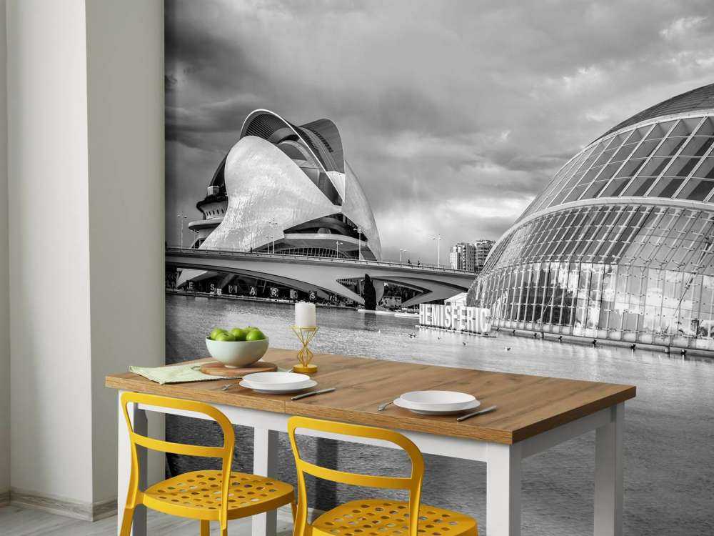 Opernhaus - Palau de les arts Reina Sofia & Hemisfèric - Valencia