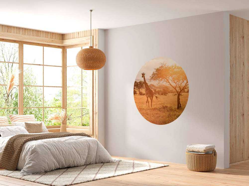 Wild giraffe