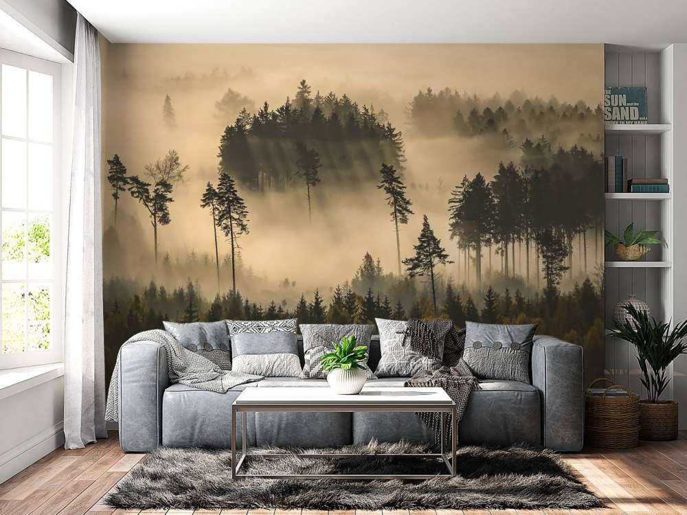 story of the forest