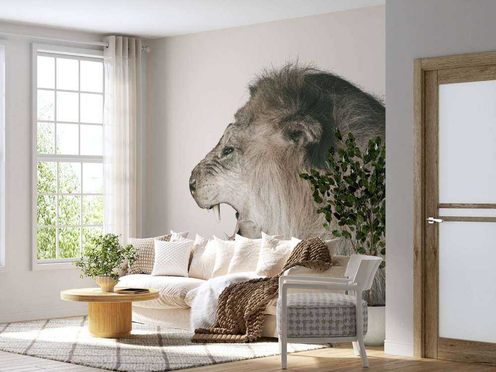 Brüllender Löwe offwhite