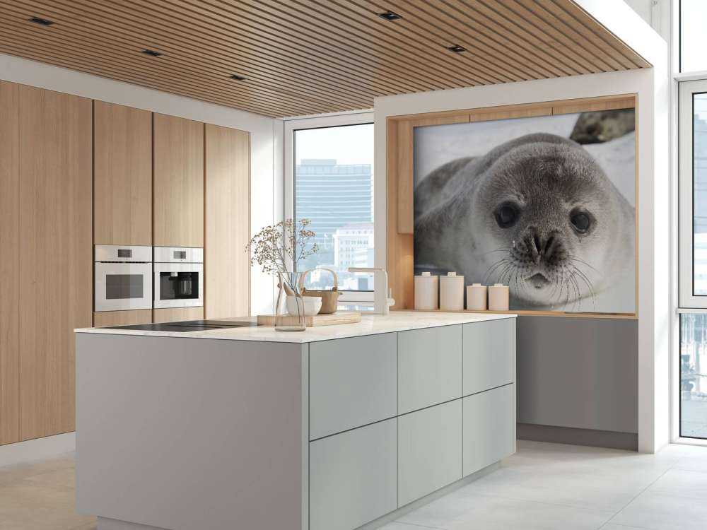 Seehund