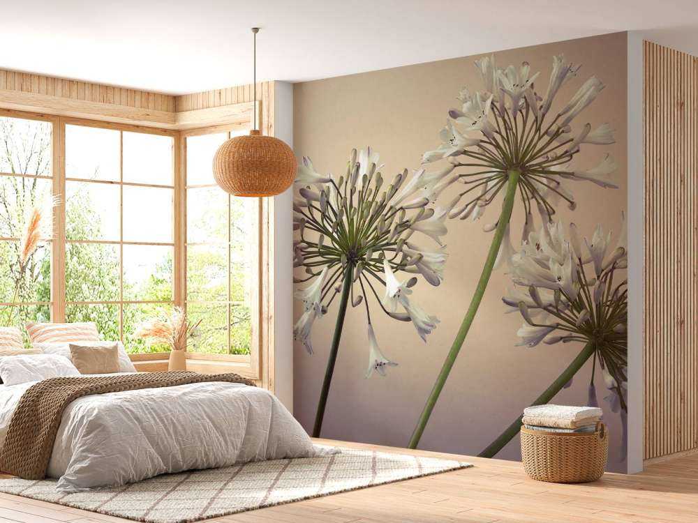 Afrikanische Lilien