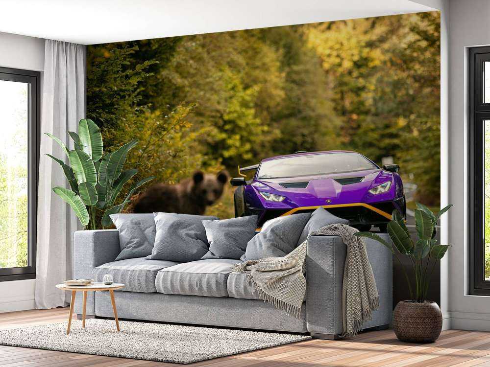 Lamborghini vs. Wildnis