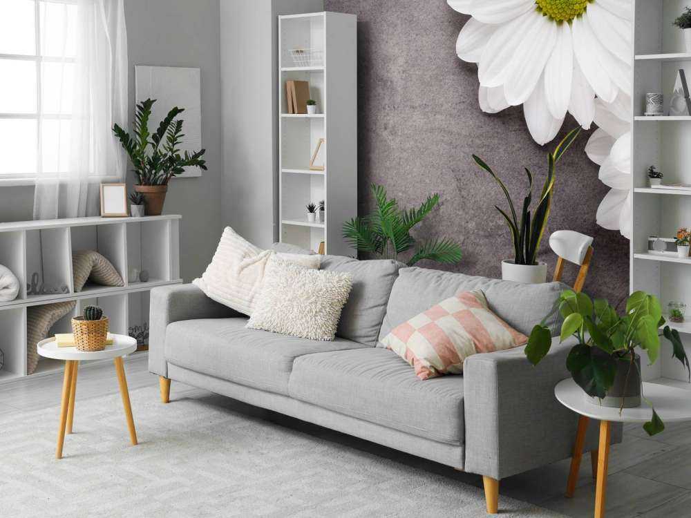 Gänseblümchen und Beton