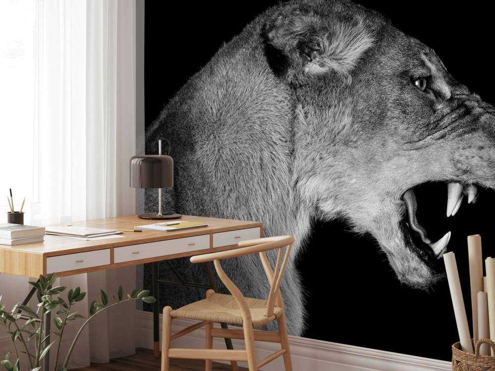 Löwin Seitenansicht schwarz
