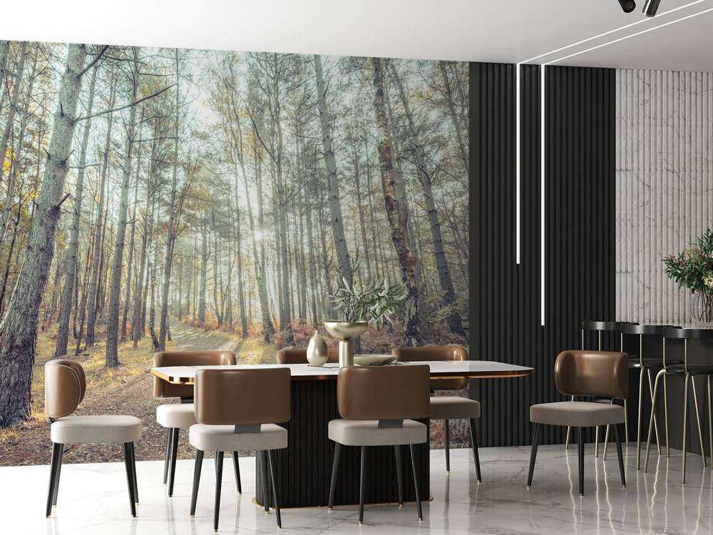 Pfad durch den sonnigen Wald
