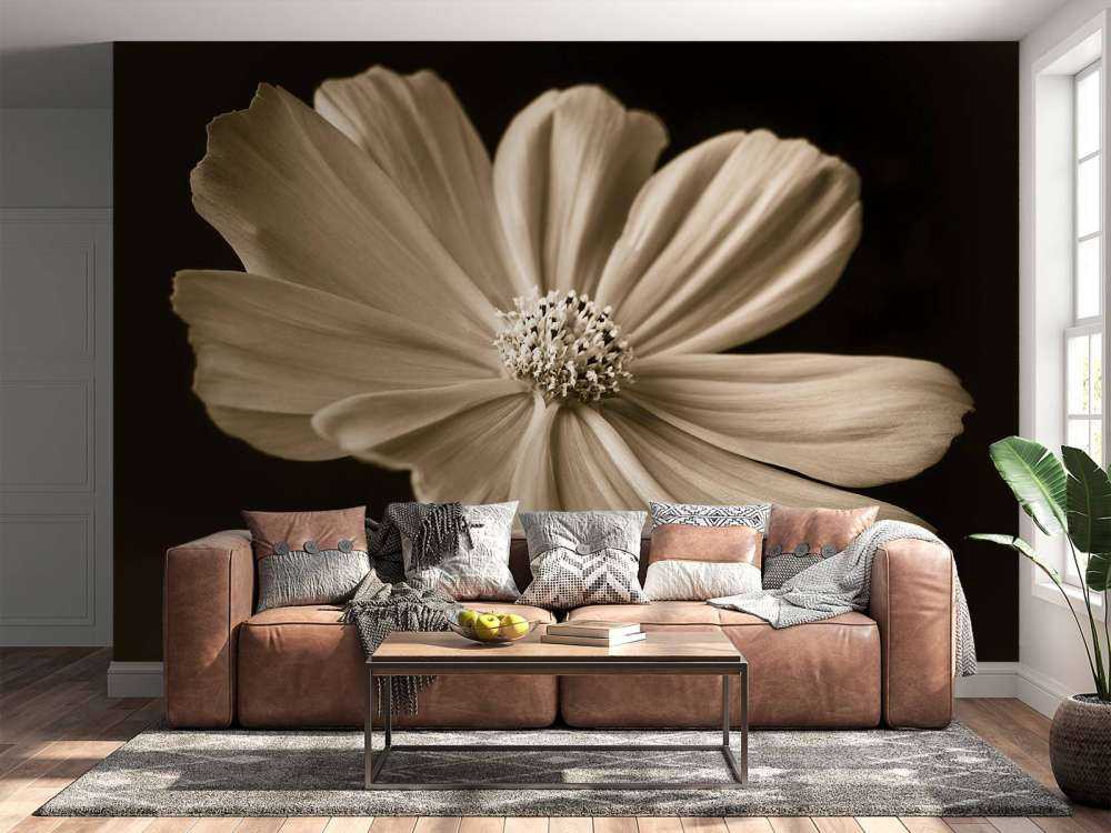 Kosmos Blume