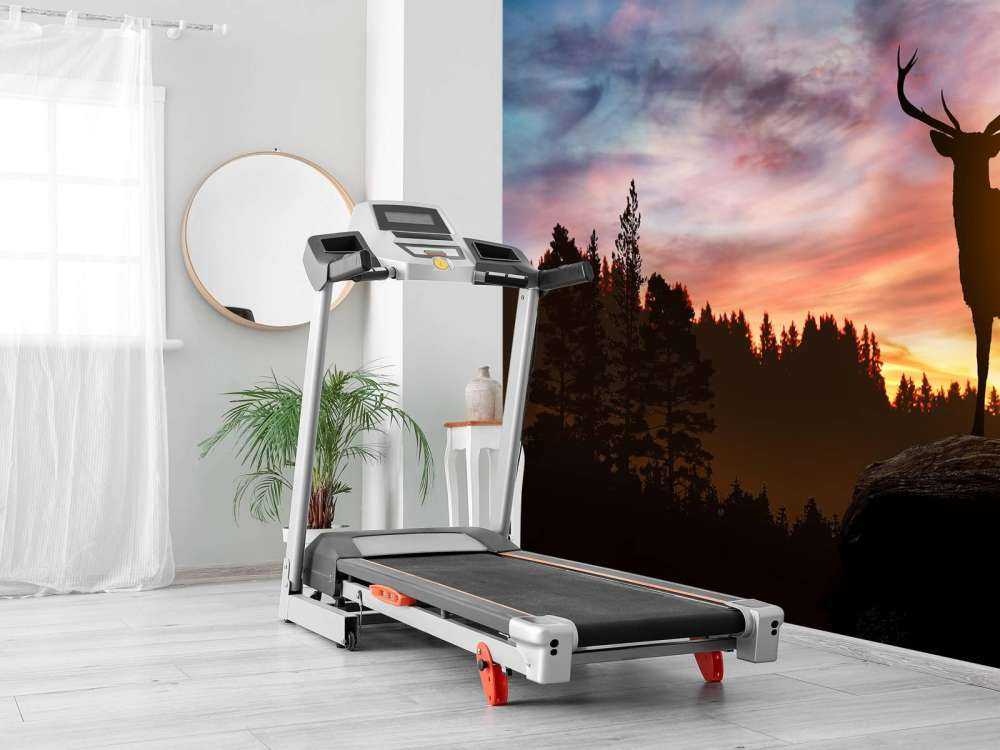 Hirsch mit Sonnenuntergang