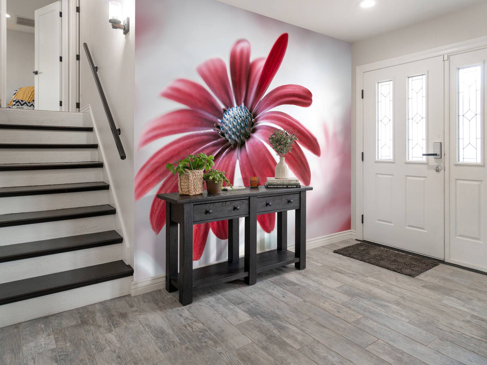 Red Daisy