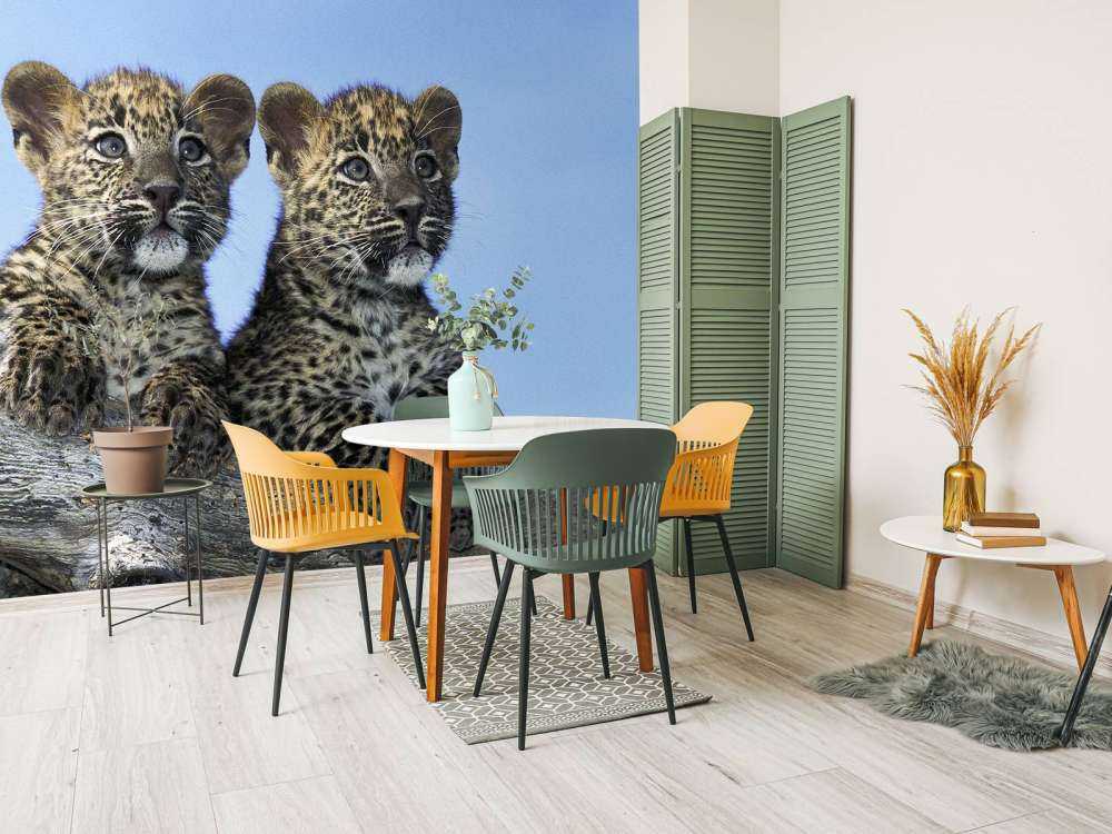 Kleine Leoparden