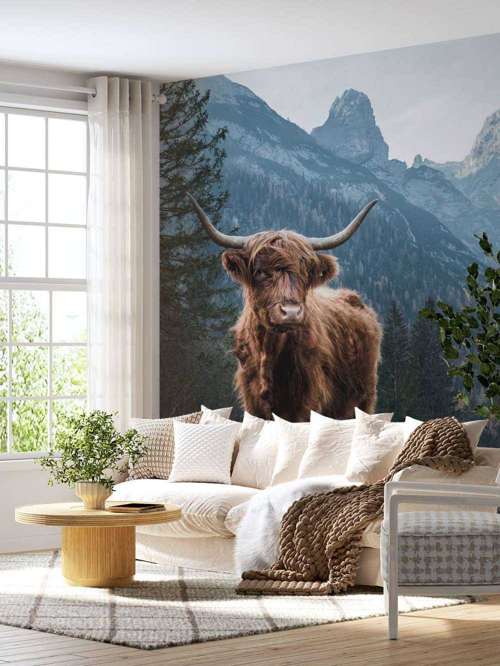 Schottischer Hochländer zwischen den Bäumen