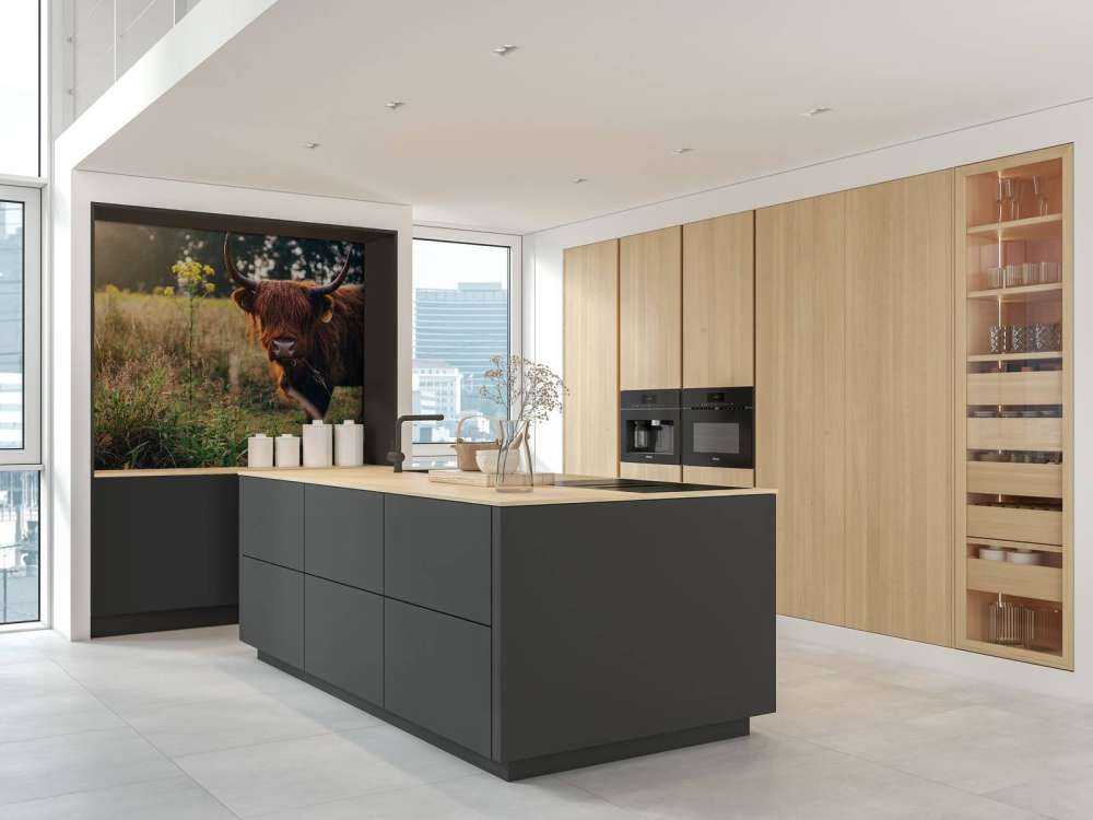 Schottischer Hochländer im hohen Gras