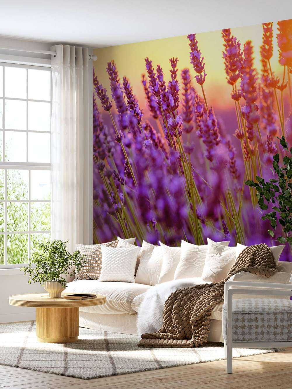 Nahaufnahme Lavendel