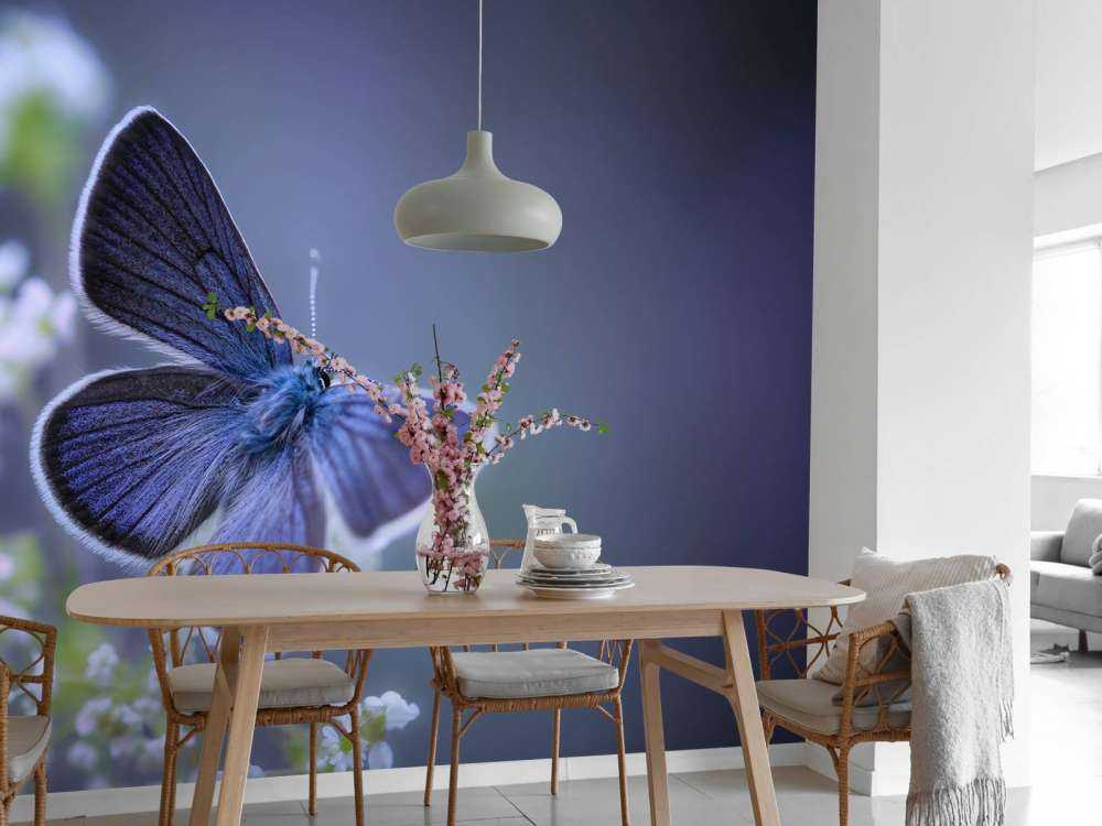 Blauer Schmetterling