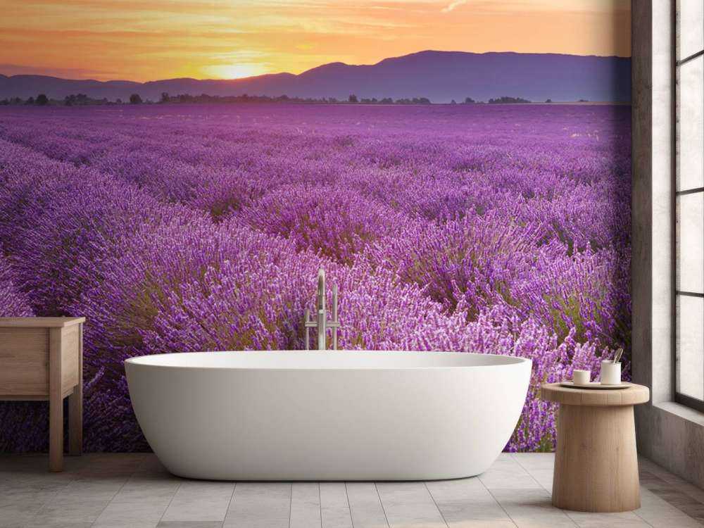 Feld voller Lavendel