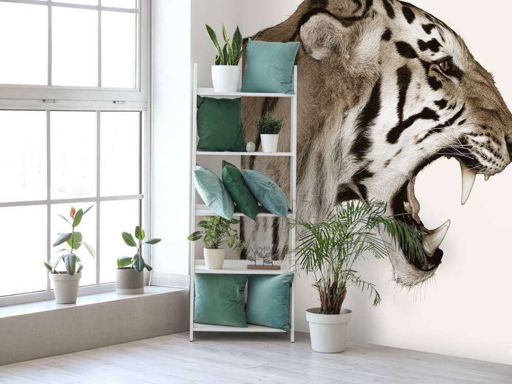 Brüllender Tiger cremefarben