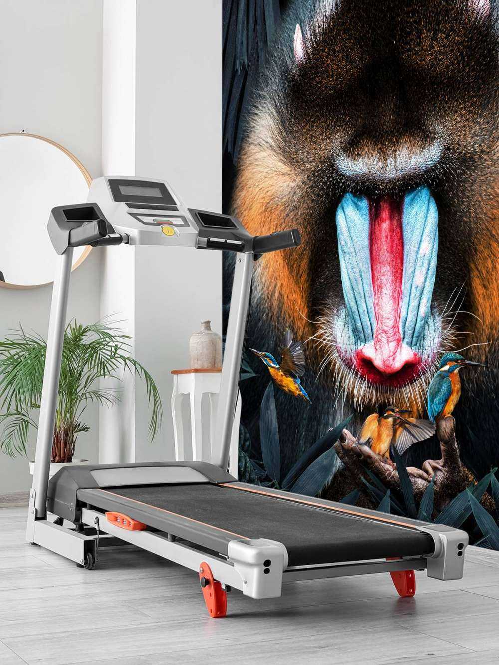 Mandrill Porträt