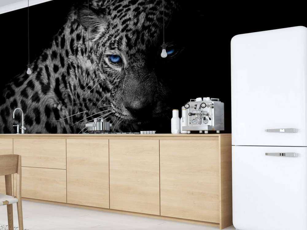 Leopard auf schwarzem Hintergrund