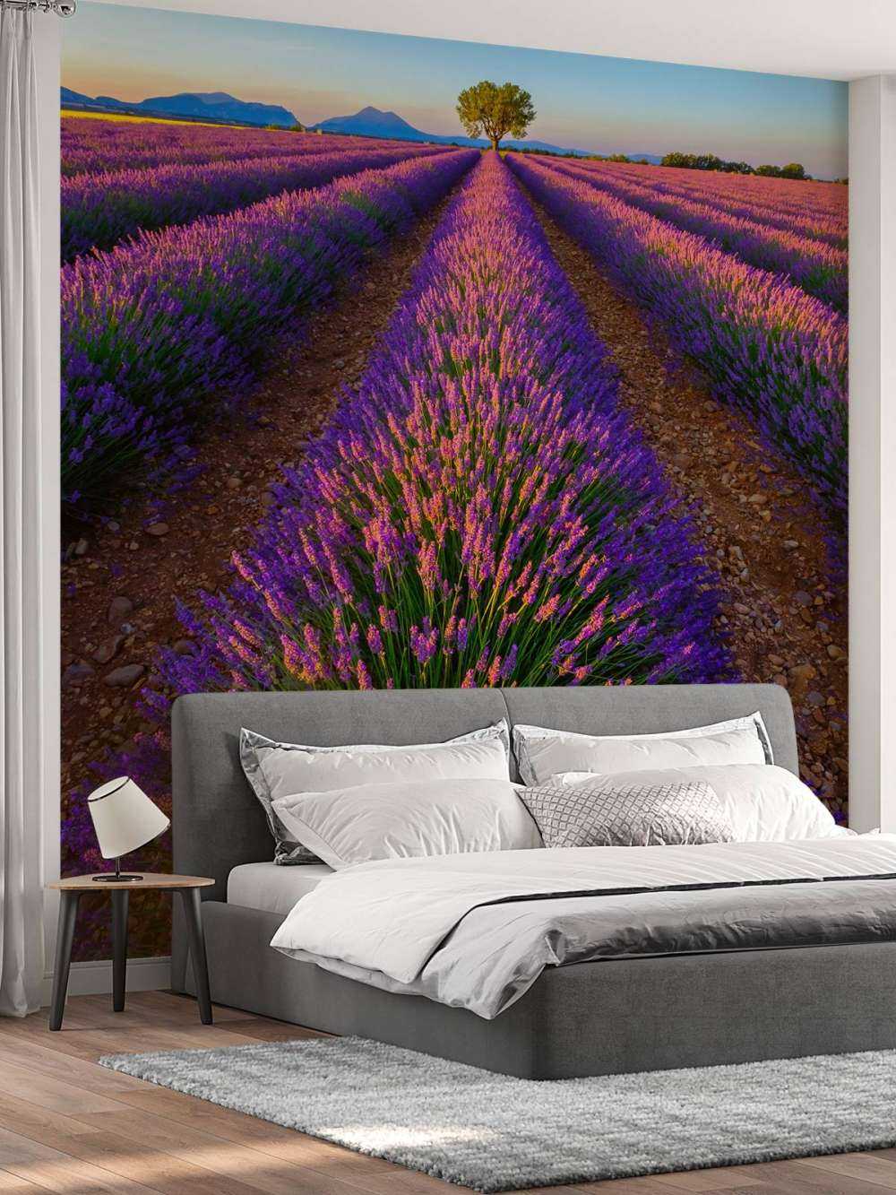 Lavendel im Sonnenlicht