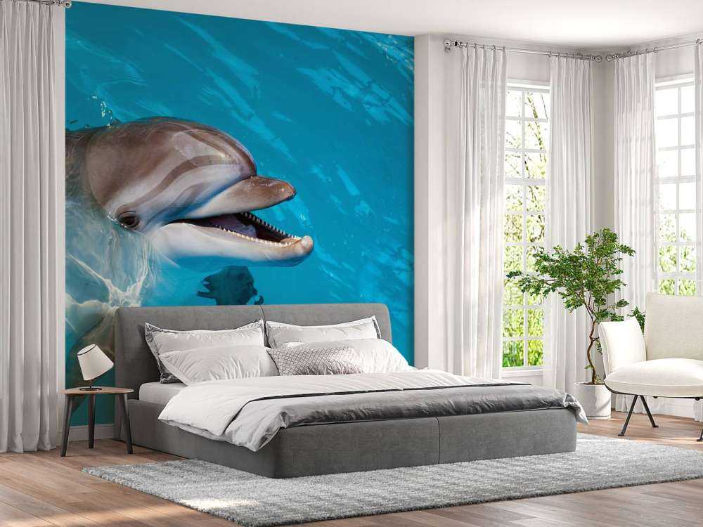 Freundlicher Delfin