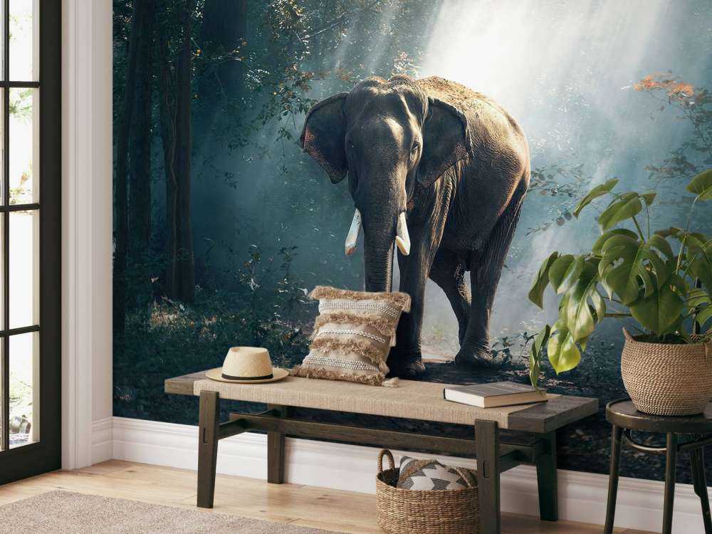 Elefant im Dschungel