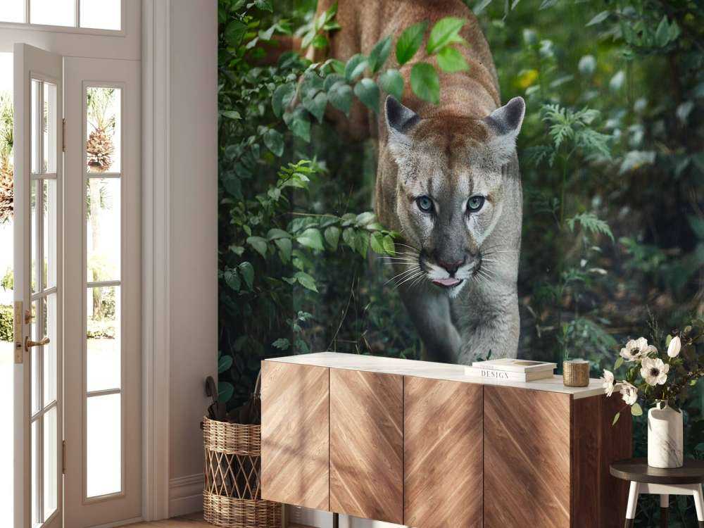 Schleichender Berglöwe