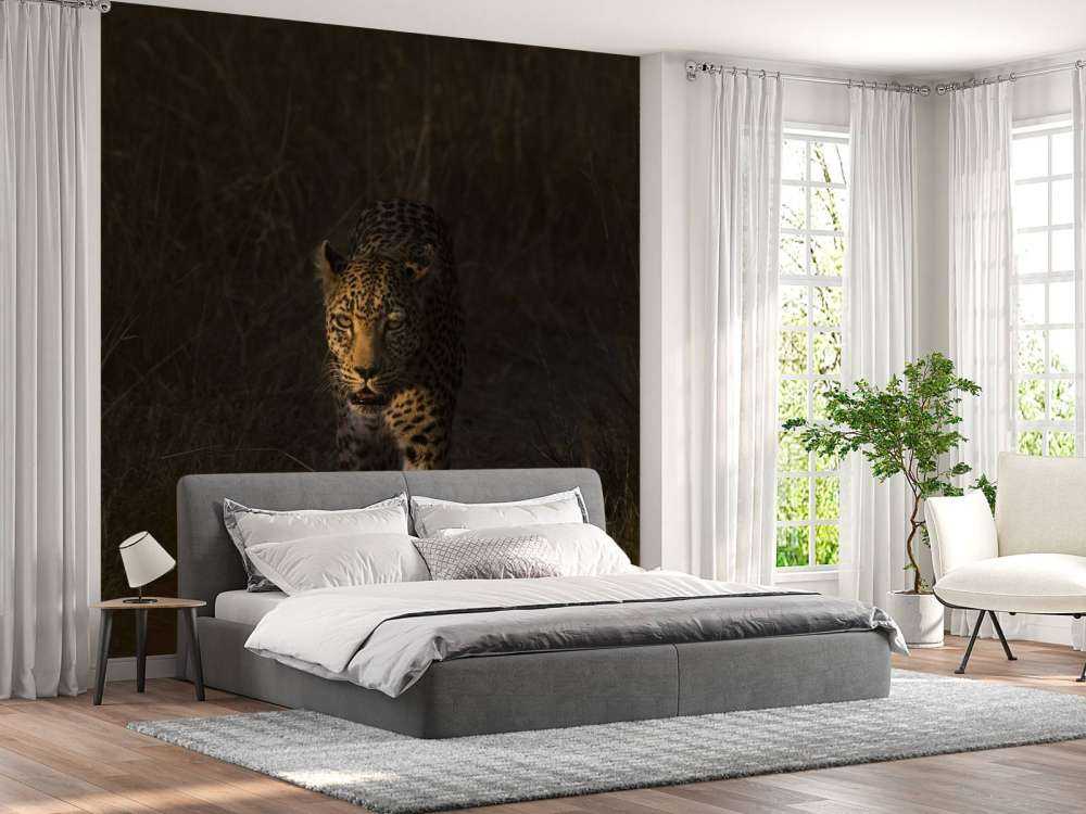 Leopard mit Sonnenuntergang