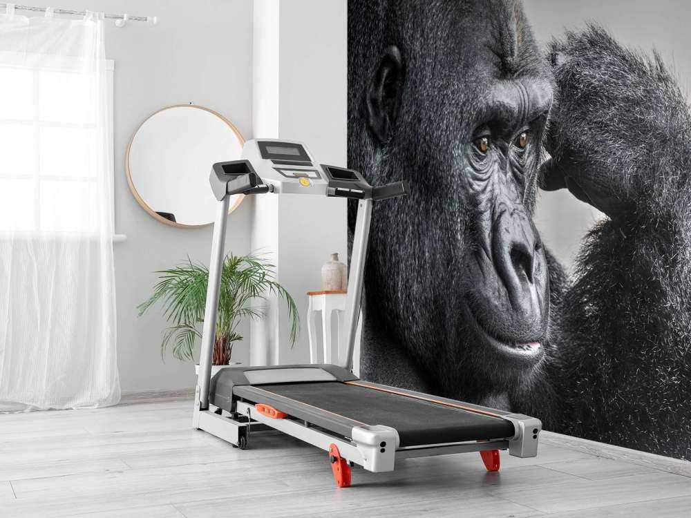 Gorilla schwarz-weiß