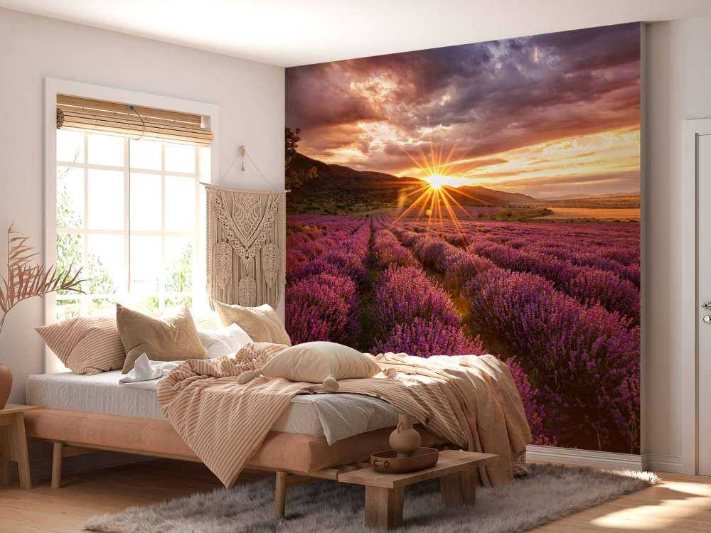 Lavendel unter der Sonne
