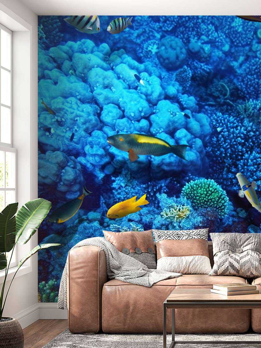 Fische und Korallen