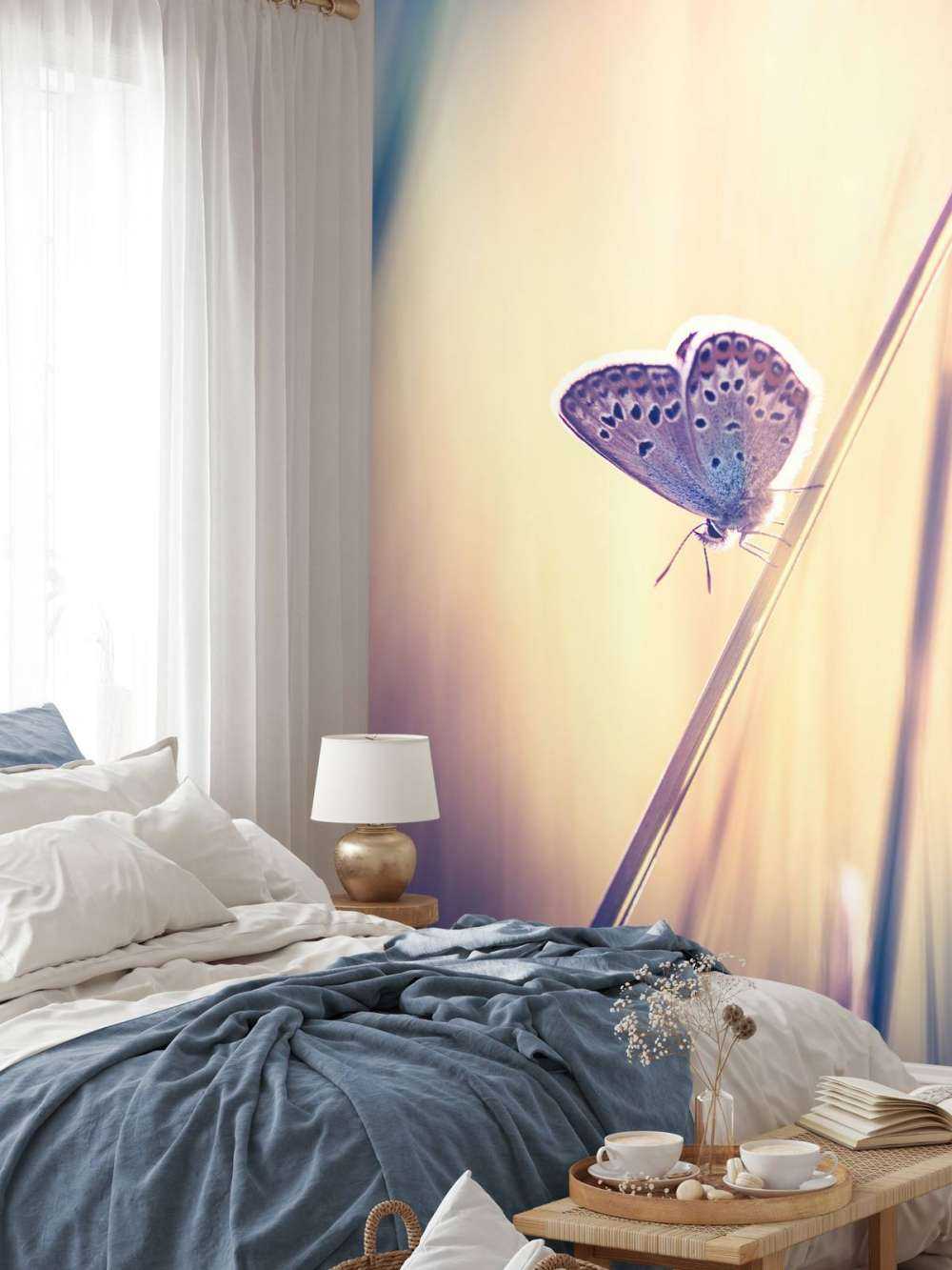 Verträumter Schmetterling