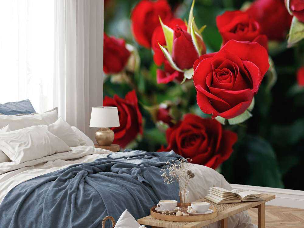 Roter Rosenstrauch