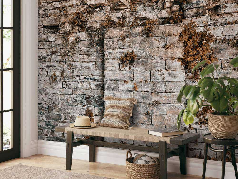 Begrünte Mauer im Herbst