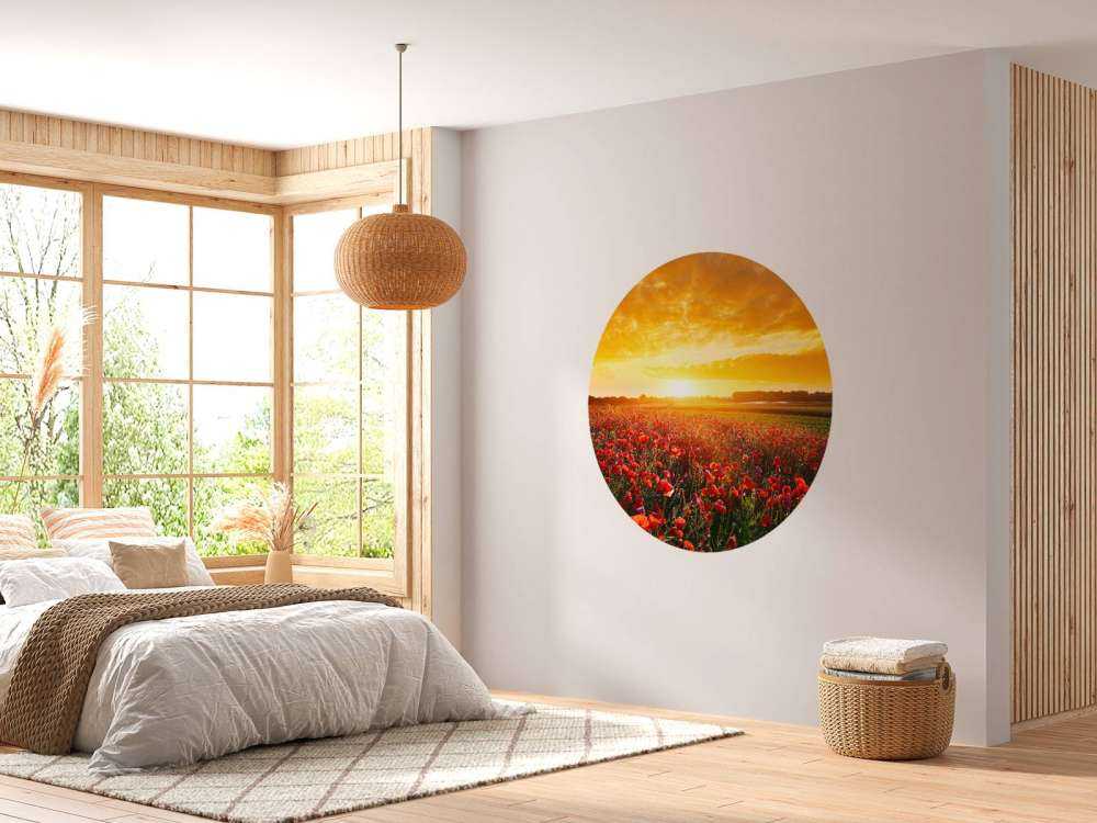 Mohnblumen und Sonnenuntergang