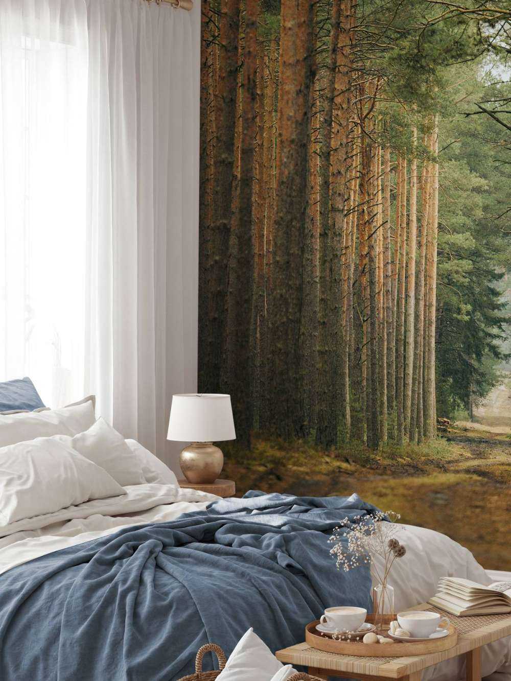 The Forest road 2