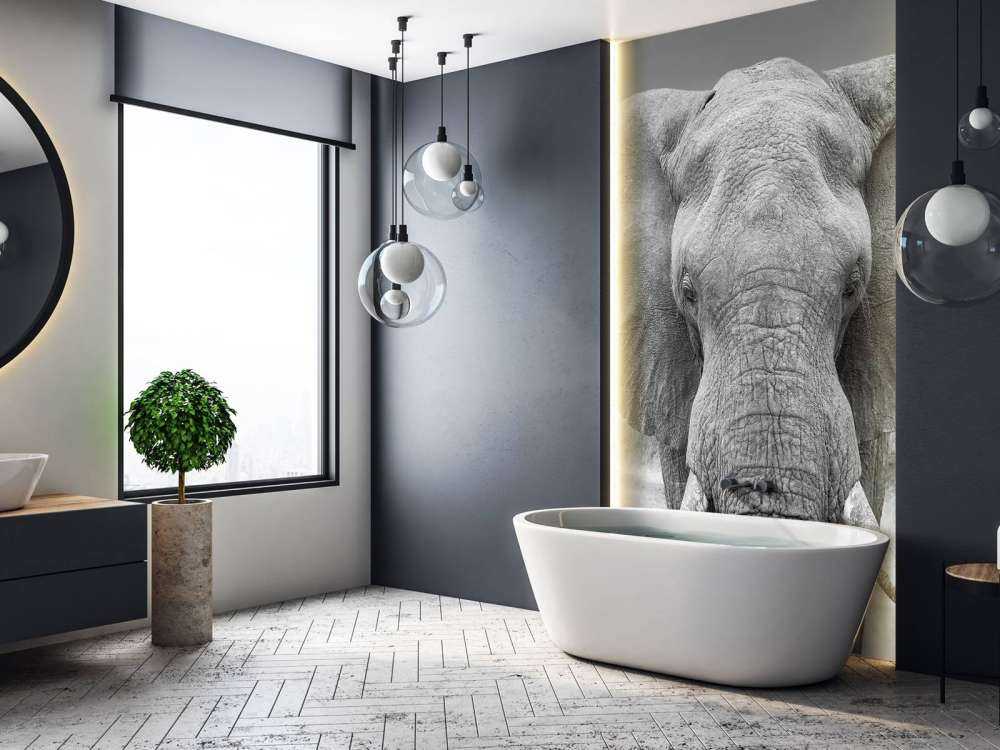 Elefant schwarz-weiß
