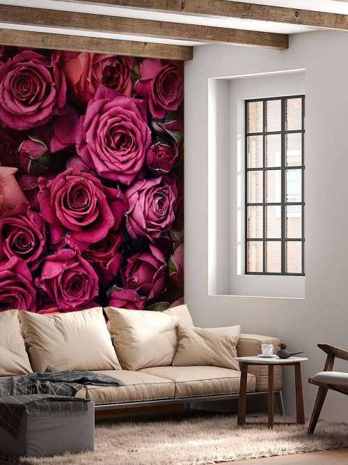 Rosa Rosen