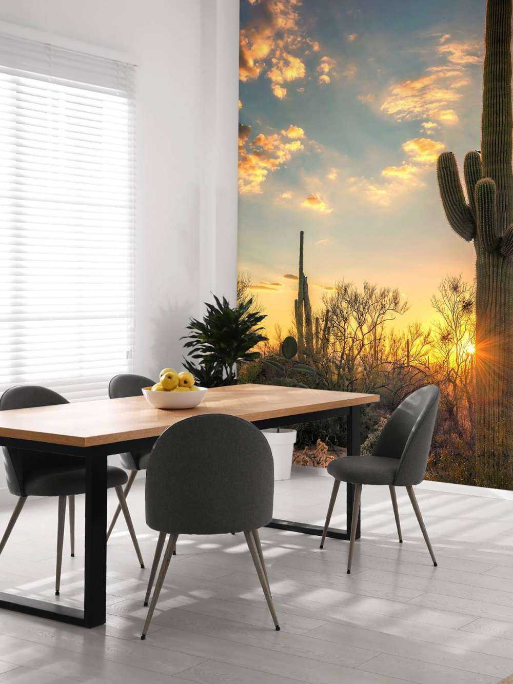 Kaktus mit Sonnenuntergang