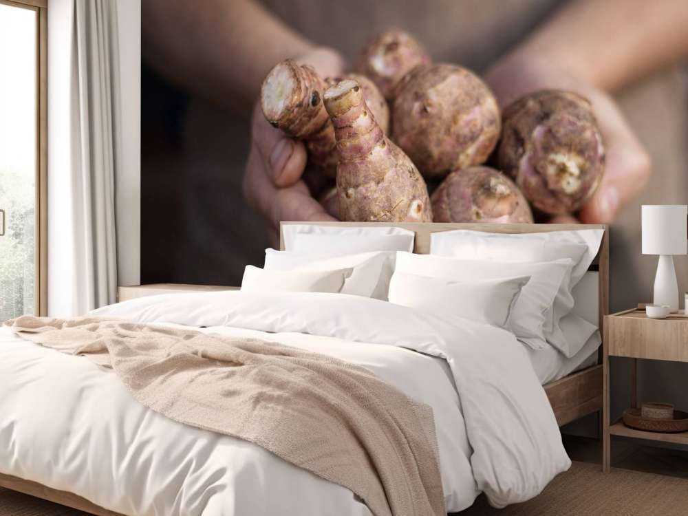 Produkte der Erde