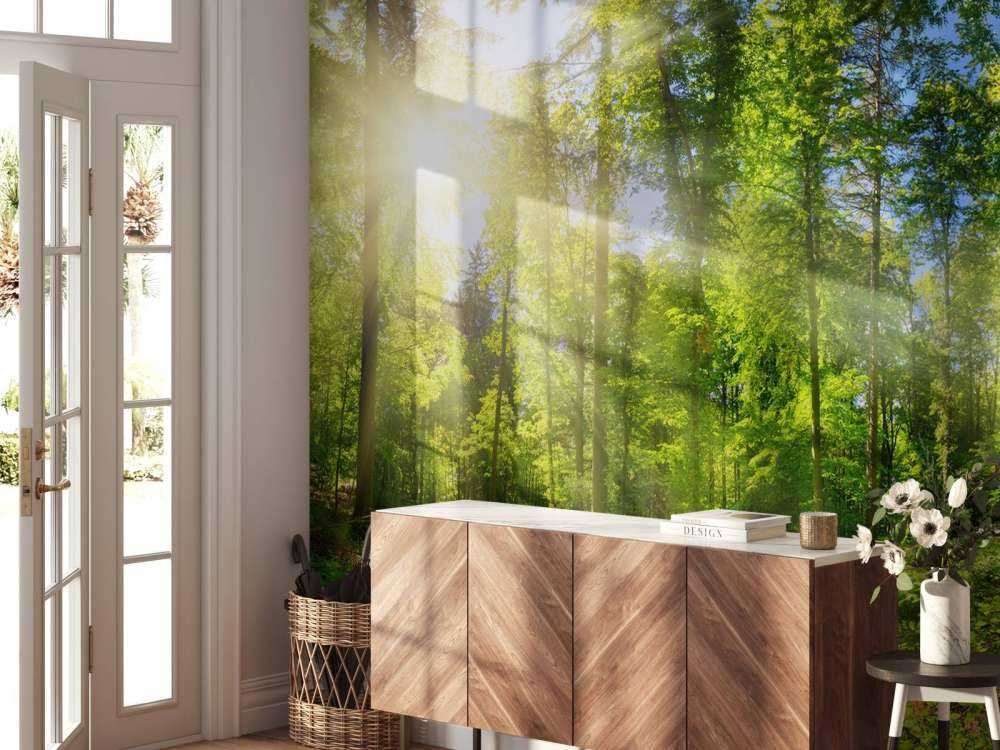 Wald mit Sonnenstrahlen