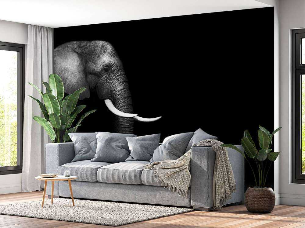 Elefant auf Gras
