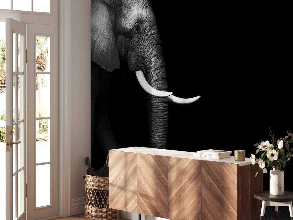 Elefant auf Gras