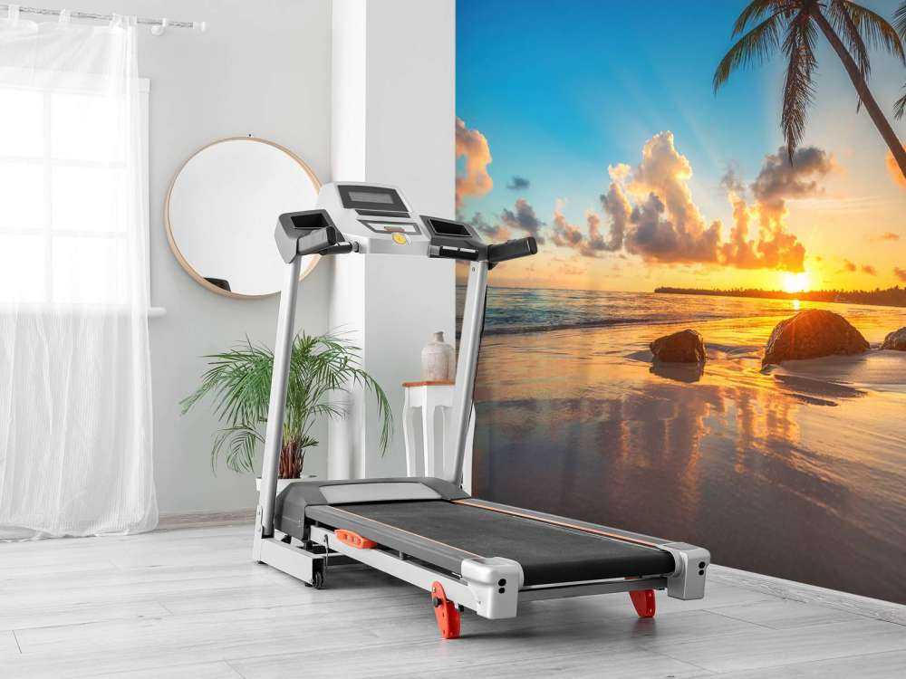 Palmen bei Sonnenuntergang